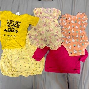 Set of 5 items baby girl clothes from 6-9 months